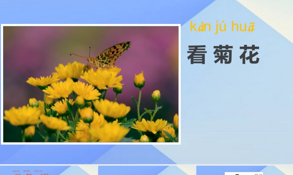 （秋季版）一年级语文上册 课文6 看菊花课件1 苏教版-苏教版小学一年级上册语文课件