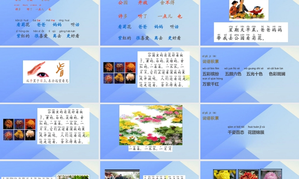 （秋季版）一年级语文上册 课文6 看菊花课件1 苏教版-苏教版小学一年级上册语文课件