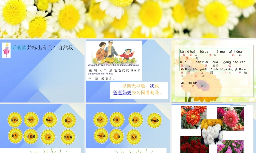 （秋季版）一年级语文上册 课文6 看菊花课件2 苏教版-苏教版小学一年级上册语文课件