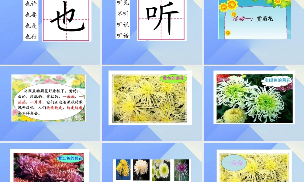 （秋季版）一年级语文上册 课文6 看菊花课件2 苏教版-苏教版小学一年级上册语文课件