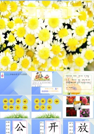 （秋季版）一年级语文上册 课文6 看菊花课件2 苏教版-苏教版小学一年级上册语文课件