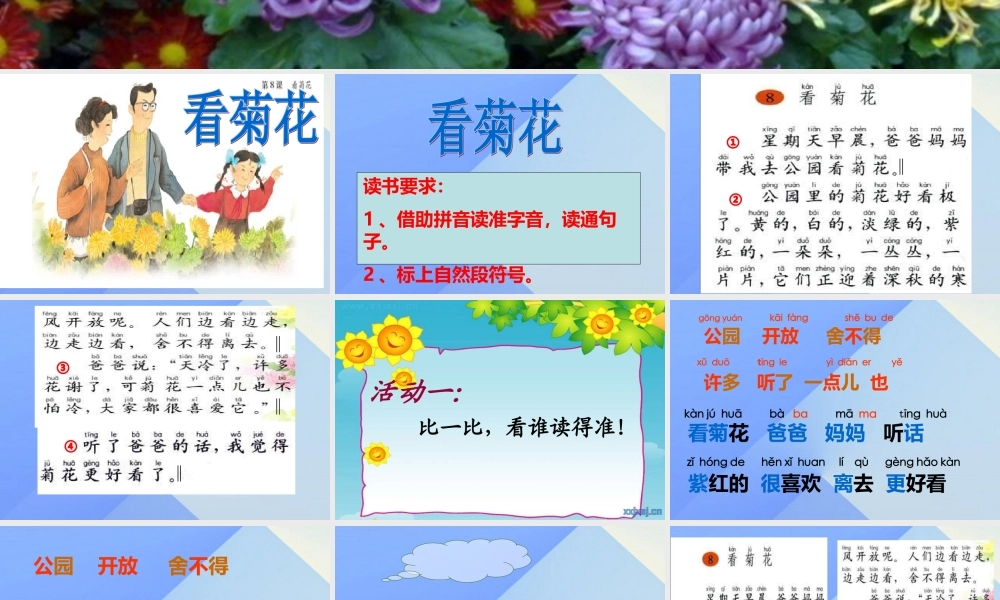 （秋季版）一年级语文上册 课文6 看菊花课件3 苏教版-苏教版小学一年级上册语文课件