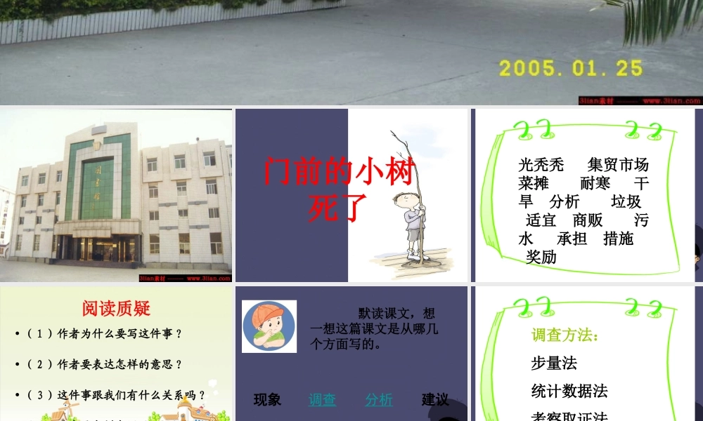 秋四年级语文上册《门前的小树死了》课件1 冀教版-冀教版小学四年级上册语文课件