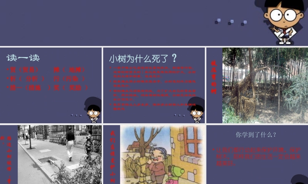 秋四年级语文上册《门前的小树死了》课件2 冀教版-冀教版小学四年级上册语文课件