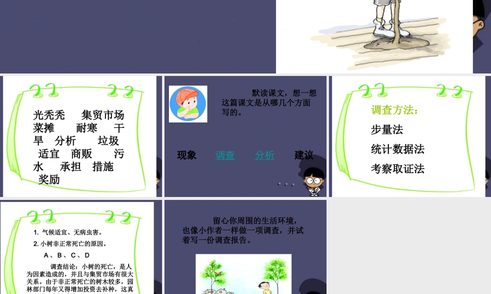 秋四年级语文上册《门前的小树死了》课件3 冀教版-冀教版小学四年级上册语文课件