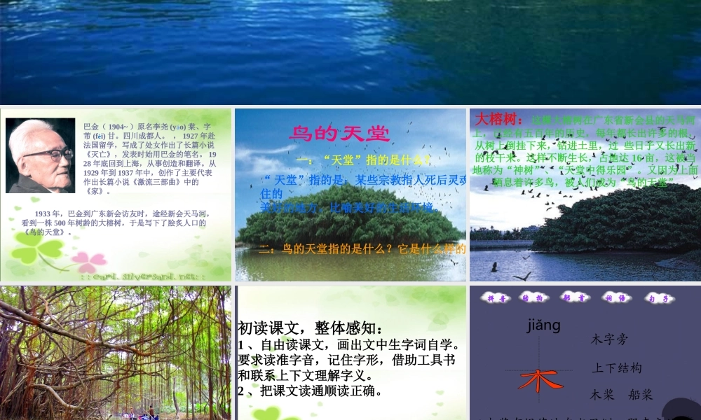 秋四年级语文上册《鸟的天堂》课件1 冀教版-冀教版小学四年级上册语文课件