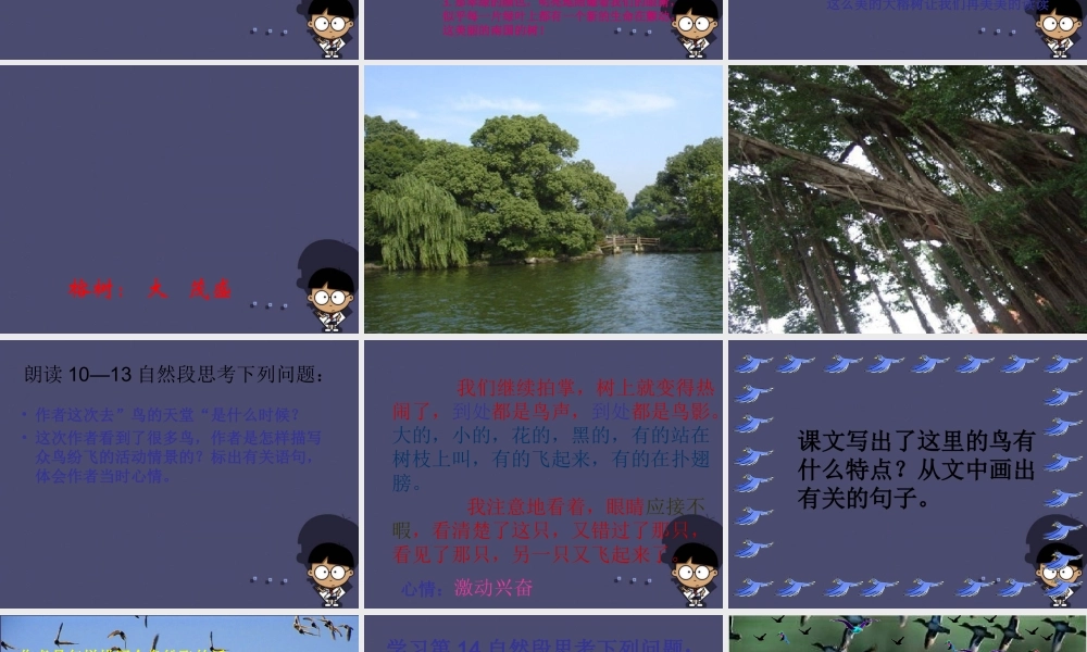 秋四年级语文上册《鸟的天堂》课件2 冀教版-冀教版小学四年级上册语文课件