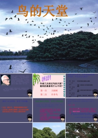秋四年级语文上册《鸟的天堂》课件2 冀教版-冀教版小学四年级上册语文课件