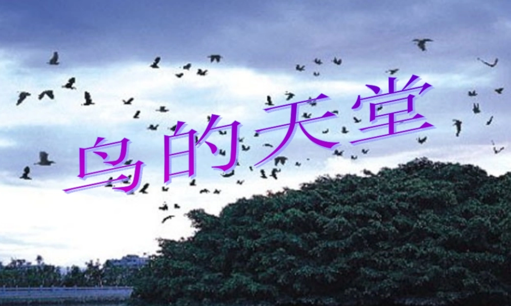 秋四年级语文上册《鸟的天堂》课件3 冀教版-冀教版小学四年级上册语文课件