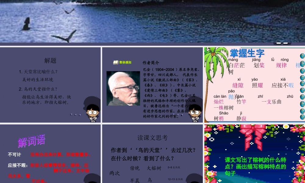 秋四年级语文上册《鸟的天堂》课件3 冀教版-冀教版小学四年级上册语文课件