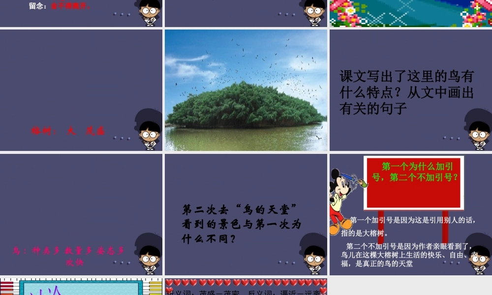 秋四年级语文上册《鸟的天堂》课件3 冀教版-冀教版小学四年级上册语文课件