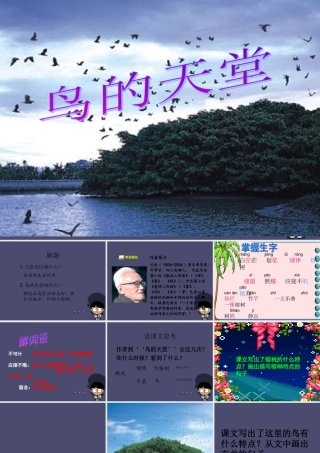 秋四年级语文上册《鸟的天堂》课件3 冀教版-冀教版小学四年级上册语文课件