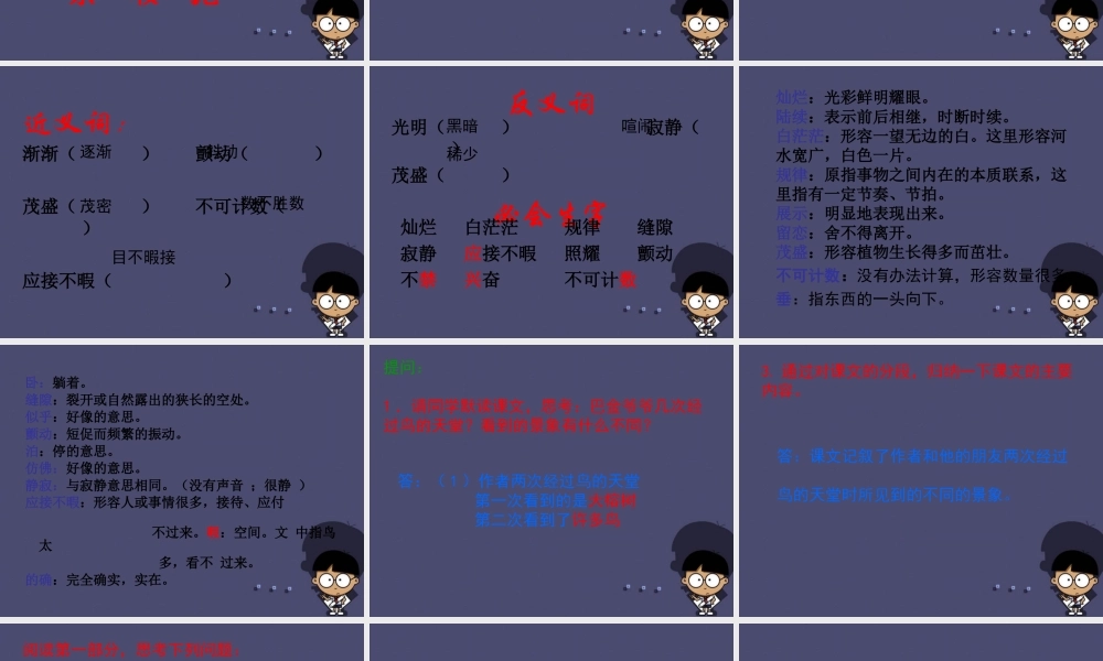 秋四年级语文上册《鸟的天堂》课件4 冀教版-冀教版小学四年级上册语文课件