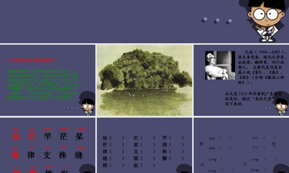 秋四年级语文上册《鸟的天堂》课件5 冀教版-冀教版小学四年级上册语文课件