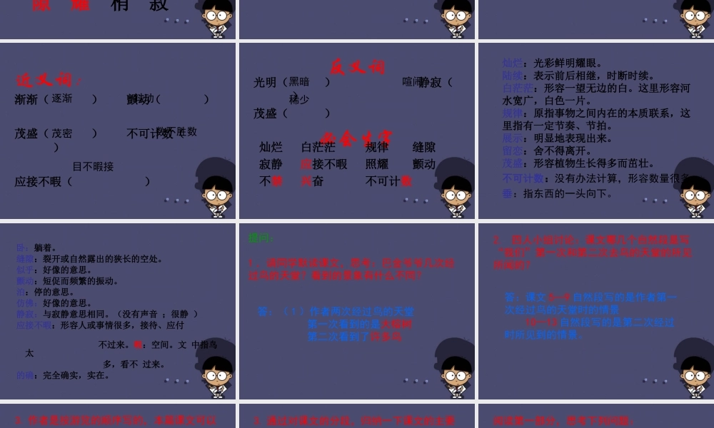 秋四年级语文上册《鸟的天堂》课件5 冀教版-冀教版小学四年级上册语文课件