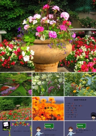 秋四年级语文上册《赏花》课件 冀教版-冀教版小学四年级上册语文课件