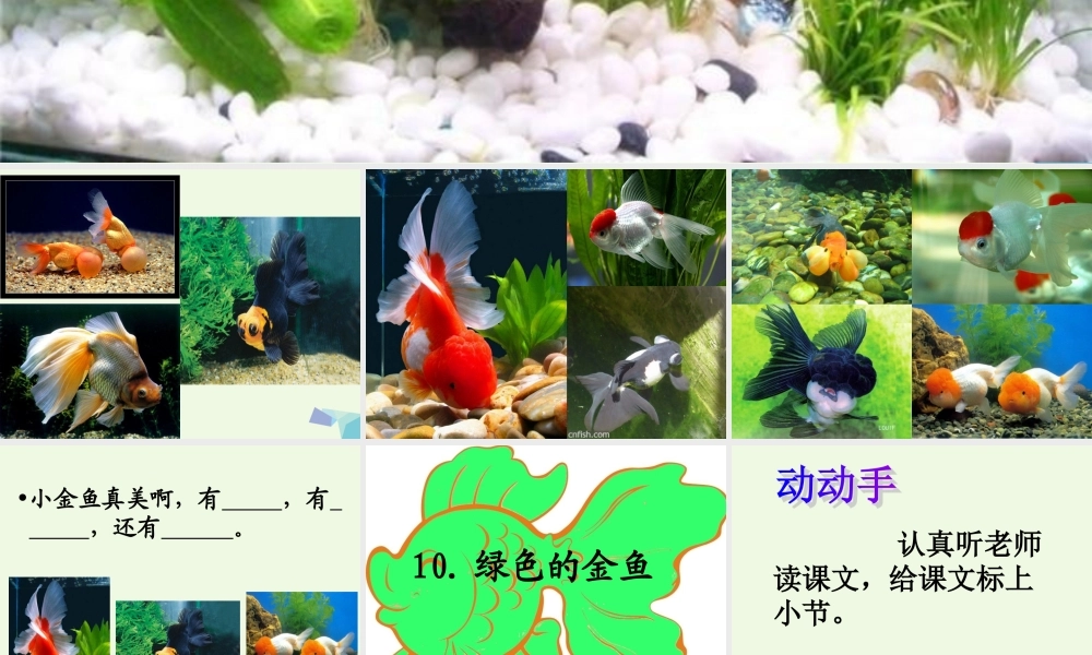 （秋季版）一年级语文上册 课文10 绿色的金鱼课件2 语文S版-语文S版小学一年级上册语文课件