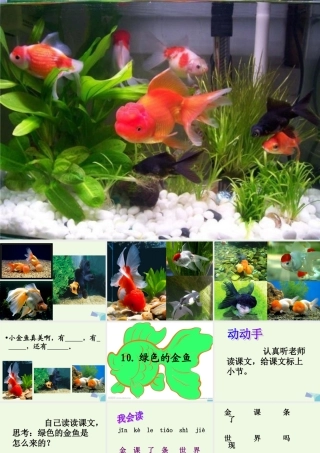 （秋季版）一年级语文上册 课文10 绿色的金鱼课件2 语文S版-语文S版小学一年级上册语文课件