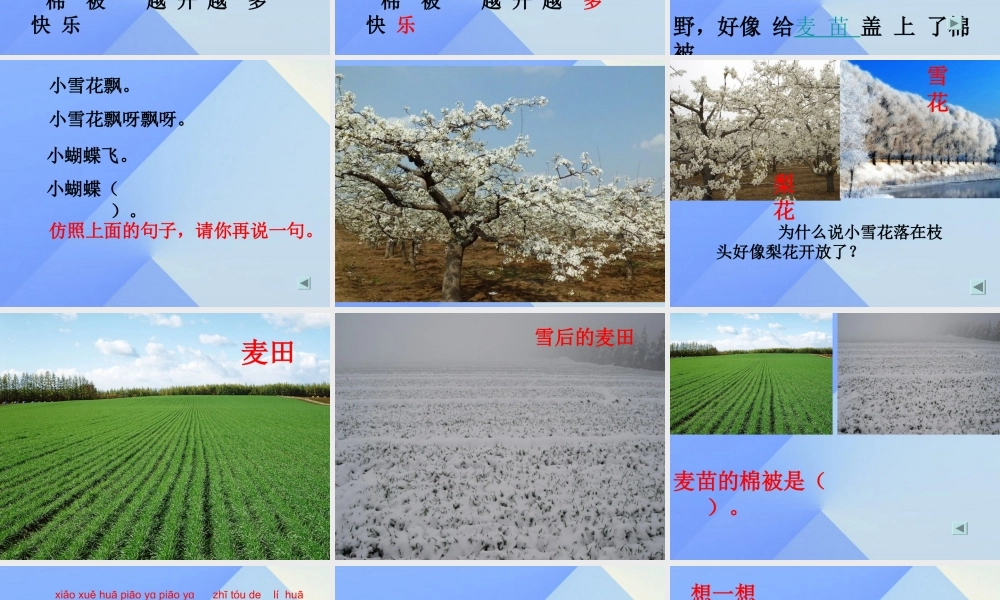 （秋季版）一年级语文上册 课文10 小雪花课件 苏教版-苏教版小学一年级上册语文课件