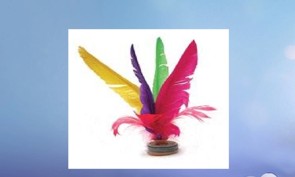 （秋级语文下册 课文3 11《毽子变乖了》课件2 语文S版-语文S级下册语文课件