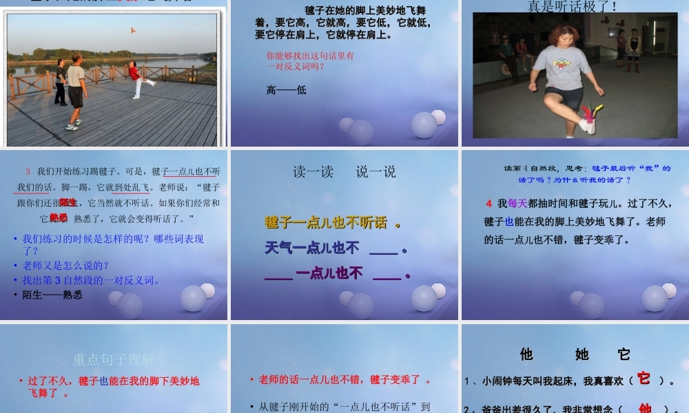 （秋季版）一年级语文下册 课文3 11《毽子变乖了》课件6 语文S版-语文S版小学一年级下册语文课件