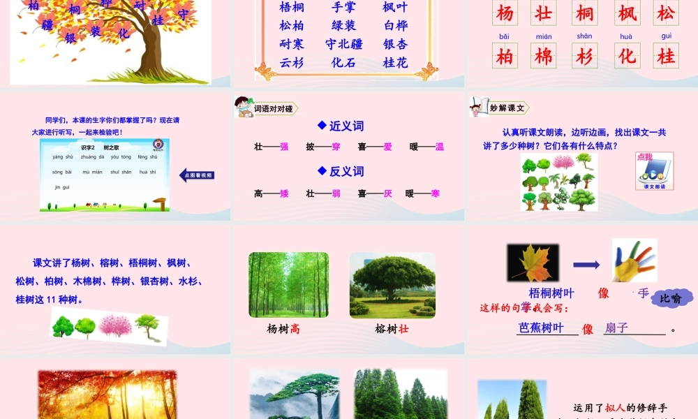 识字2 树之歌课件