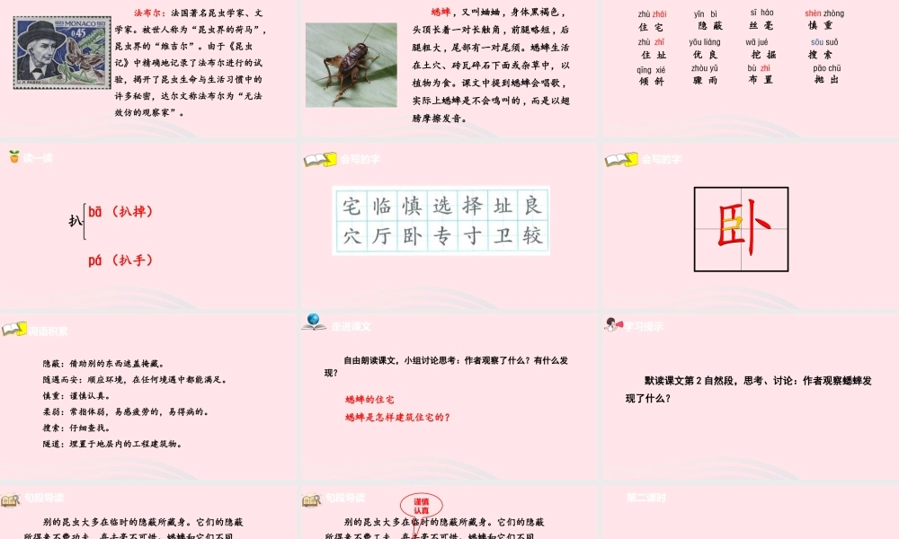 蟋蟀的住宅课件