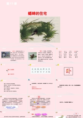蟋蟀的住宅课件