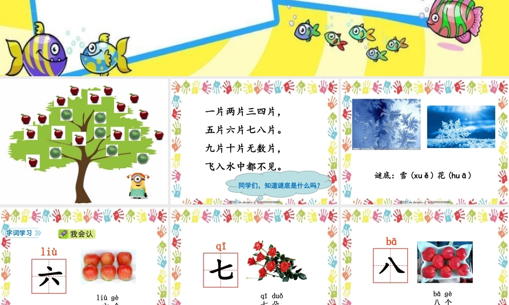 语文园地一 课件