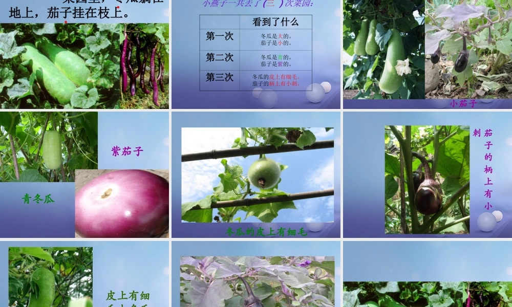 （秋季版）一年级语文下册 课文4 13《燕子妈妈笑了》课件5 语文S版-语文S版小学一年级下册语文课件