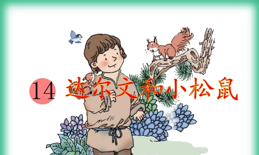 （秋季版）一年级语文下册 课文4 14《达尔文和小松鼠》教学课件 语文S版-语文S版小学一年级下册语文课件