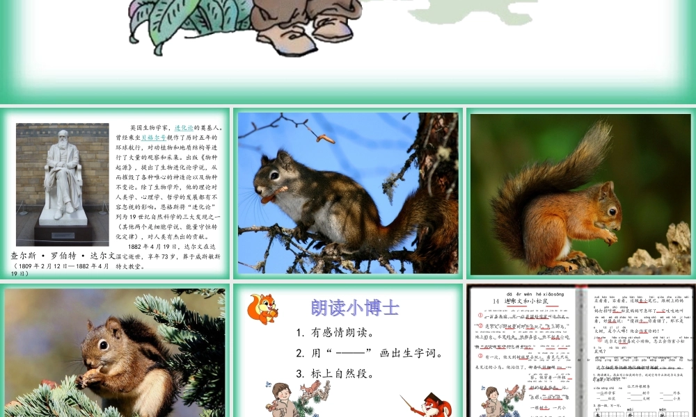 （秋季版）一年级语文下册 课文4 14《达尔文和小松鼠》教学课件 语文S版-语文S版小学一年级下册语文课件