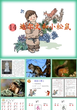 （秋季版）一年级语文下册 课文4 14《达尔文和小松鼠》教学课件 语文S版-语文S版小学一年级下册语文课件