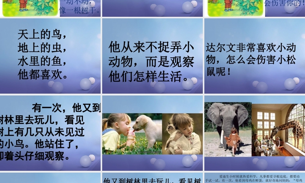 （秋季版）一年级语文下册 课文4 14《达尔文和小松鼠》课件1 语文S版-语文S版小学一年级下册语文课件