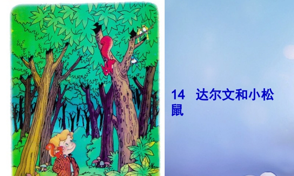 （秋季版）一年级语文下册 课文4 14《达尔文和小松鼠》课件2 语文S版-语文S版小学一年级下册语文课件