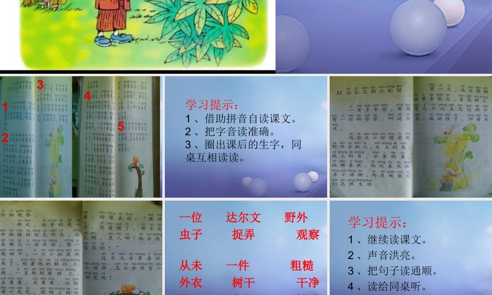 （秋季版）一年级语文下册 课文4 14《达尔文和小松鼠》课件2 语文S版-语文S版小学一年级下册语文课件
