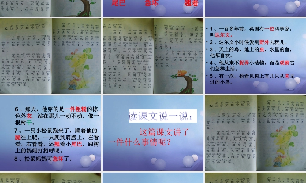 （秋季版）一年级语文下册 课文4 14《达尔文和小松鼠》课件2 语文S版-语文S版小学一年级下册语文课件