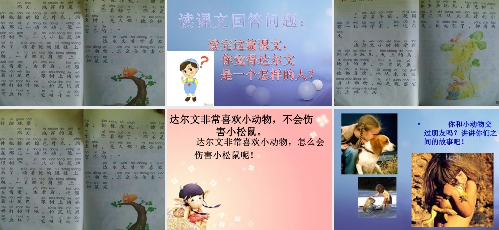 （秋季版）一年级语文下册 课文4 14《达尔文和小松鼠》课件2 语文S版-语文S版小学一年级下册语文课件