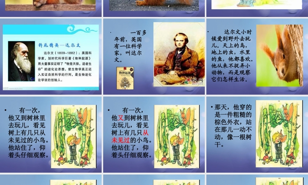 （秋级语文下册 课文4 14《达尔文和小松鼠》课件3 语文S版-语文S级下册语文课件