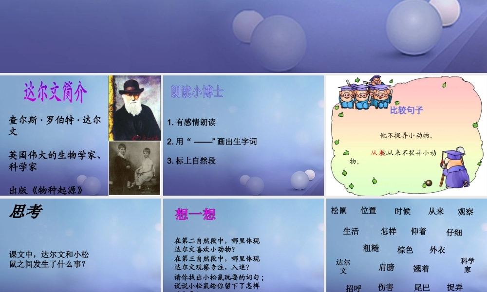 （秋级语文下册 课文4 14《达尔文和小松鼠》课件4 语文S版-语文S级下册语文课件