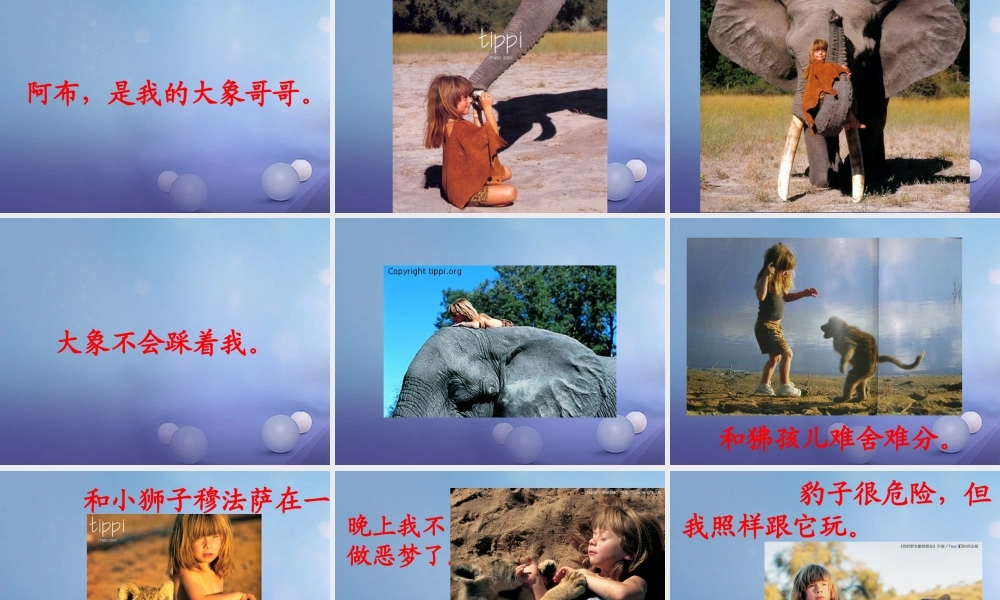 （秋级语文下册 课文4 14《达尔文和小松鼠》课件4 语文S版-语文S级下册语文课件