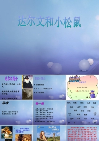（秋级语文下册 课文4 14《达尔文和小松鼠》课件4 语文S版-语文S级下册语文课件