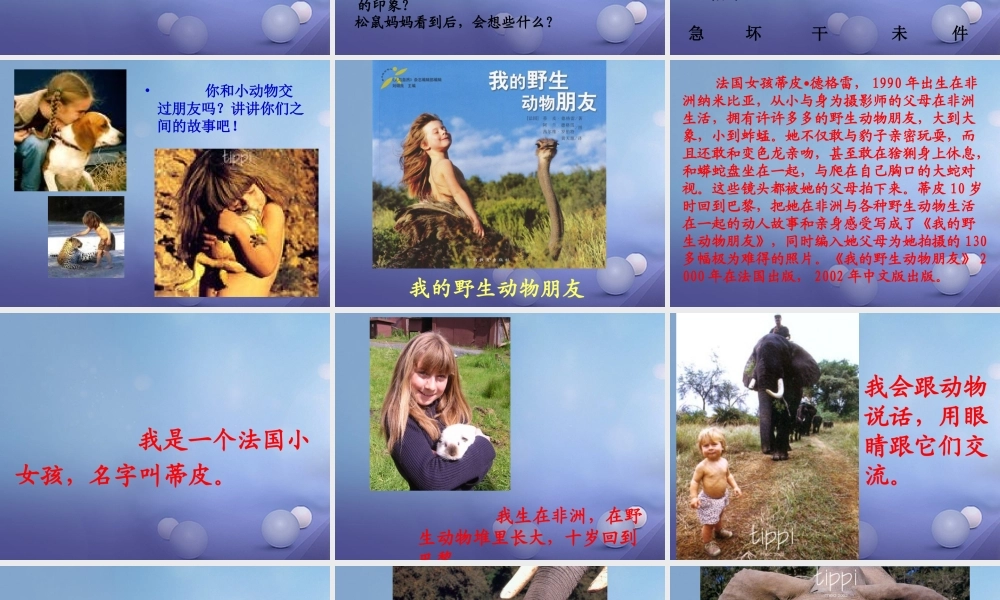 （秋季版）一年级语文下册 课文4 14《达尔文和小松鼠》课件4 语文S版-语文S版小学一年级下册语文课件