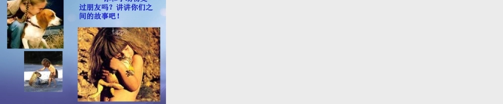 （秋季版）一年级语文下册 课文4 14《达尔文和小松鼠》课件5 语文S版-语文S版小学一年级下册语文课件