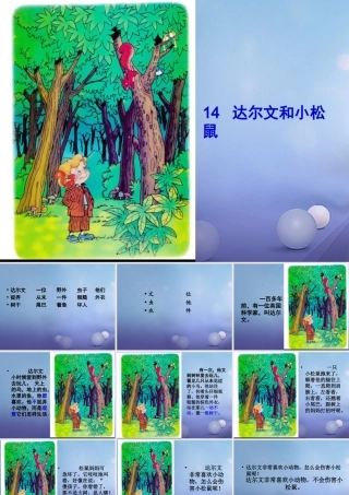 （秋季版）一年级语文下册 课文4 14《达尔文和小松鼠》课件5 语文S版-语文S版小学一年级下册语文课件