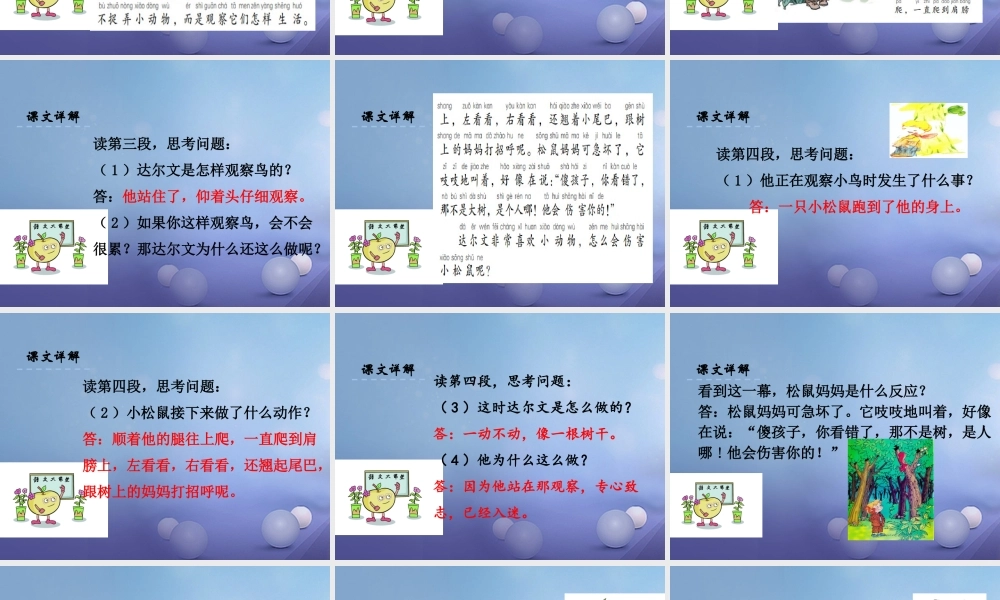 （秋季版）一年级语文下册 课文4 14《达尔文和小松鼠》课件6 语文S版-语文S版小学一年级下册语文课件