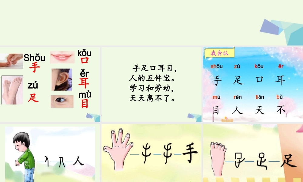 （秋季版）一年级语文上册 识字1 手足口耳目课件1 语文S版-语文S版小学一年级上册语文课件
