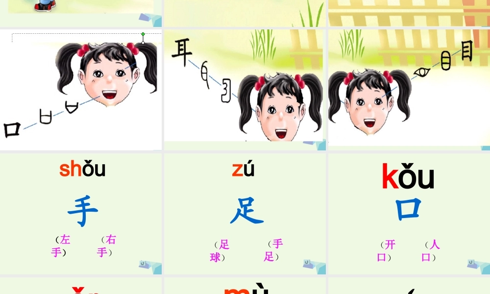 （秋季版）一年级语文上册 识字1 手足口耳目课件1 语文S版-语文S版小学一年级上册语文课件