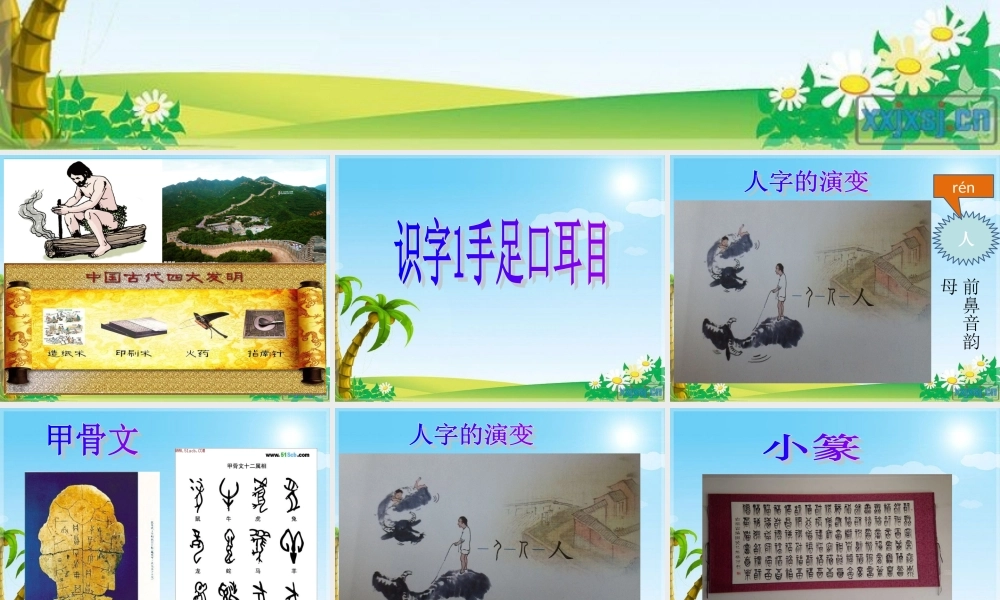 （秋季版）一年级语文上册 识字1 手足口耳目课件2 语文S版-语文S版小学一年级上册语文课件