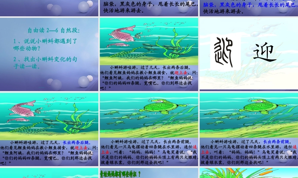 （秋级语文下册 课文4 15《小蝌蚪找妈妈》课件1 语文S版-语文S级下册语文课件